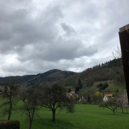 Petit Week End Dans La Vallee Breitenbach-Haut-Rhin Екстериор снимка
