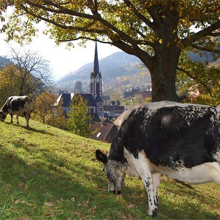Petit Week End Dans La Vallee Breitenbach-Haut-Rhin Екстериор снимка
