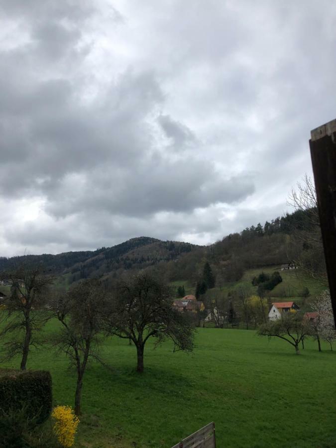 Petit Week End Dans La Vallee Breitenbach-Haut-Rhin Екстериор снимка