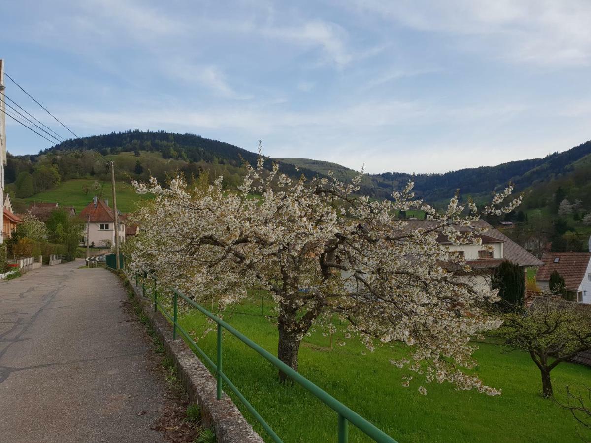 Petit Week End Dans La Vallee Breitenbach-Haut-Rhin Екстериор снимка