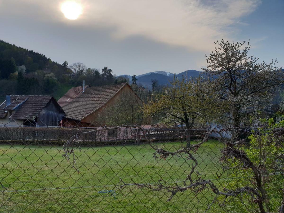 Petit Week End Dans La Vallee Breitenbach-Haut-Rhin Екстериор снимка