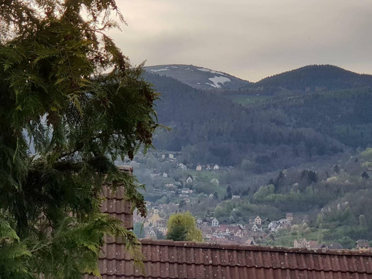 Petit Week End Dans La Vallee Breitenbach-Haut-Rhin Екстериор снимка