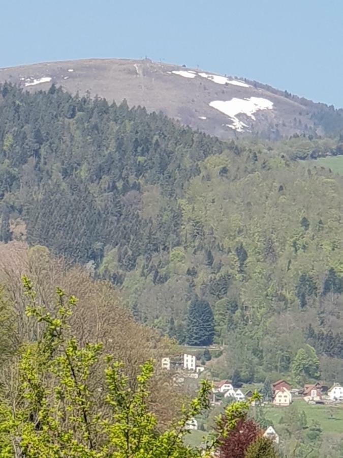 Petit Week End Dans La Vallee Breitenbach-Haut-Rhin Екстериор снимка