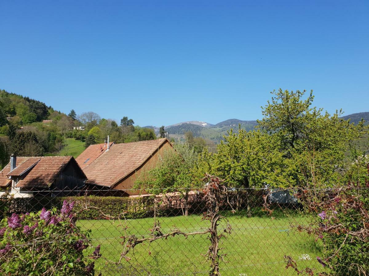Petit Week End Dans La Vallee Breitenbach-Haut-Rhin Екстериор снимка
