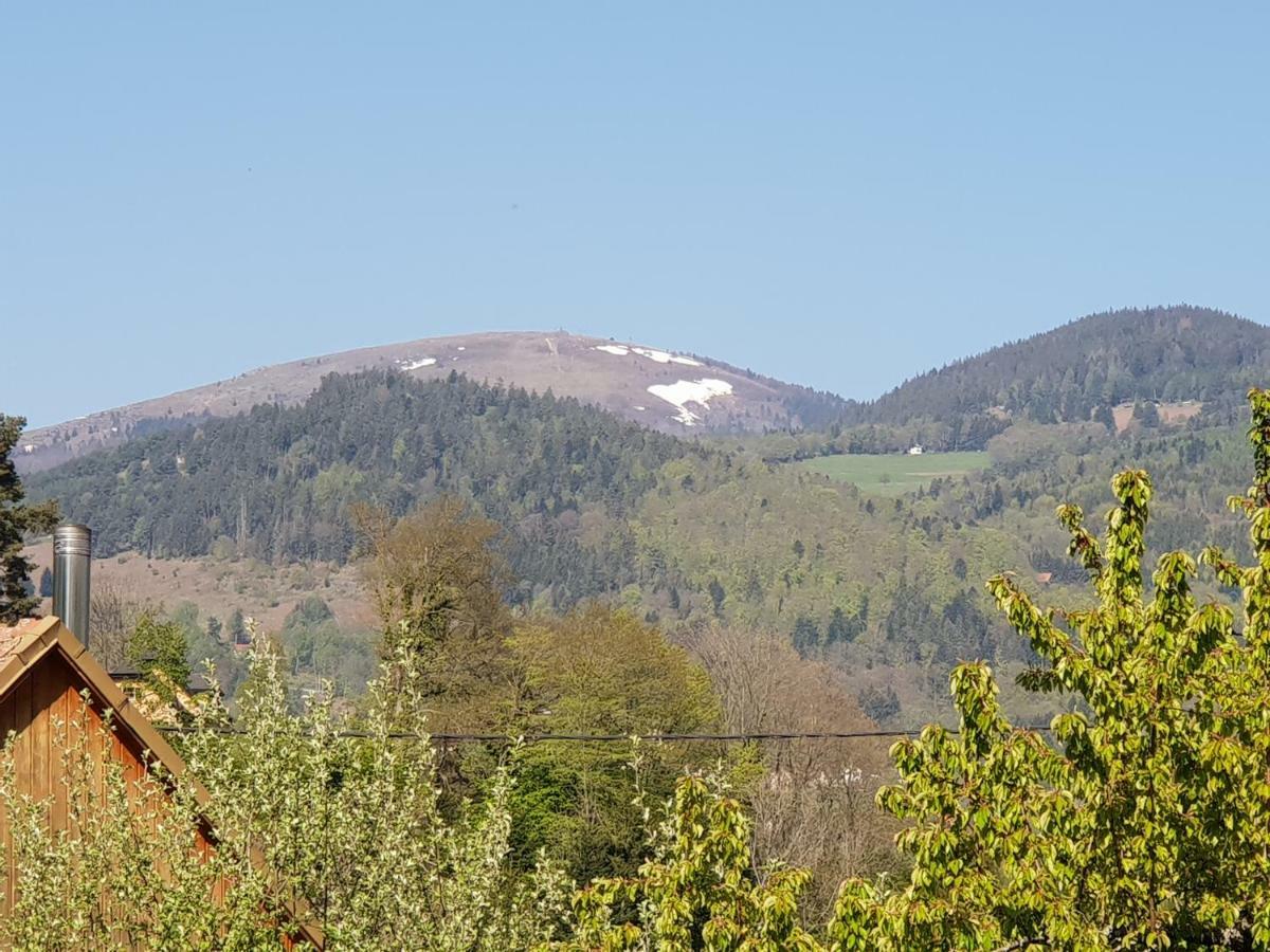 Petit Week End Dans La Vallee Breitenbach-Haut-Rhin Екстериор снимка
