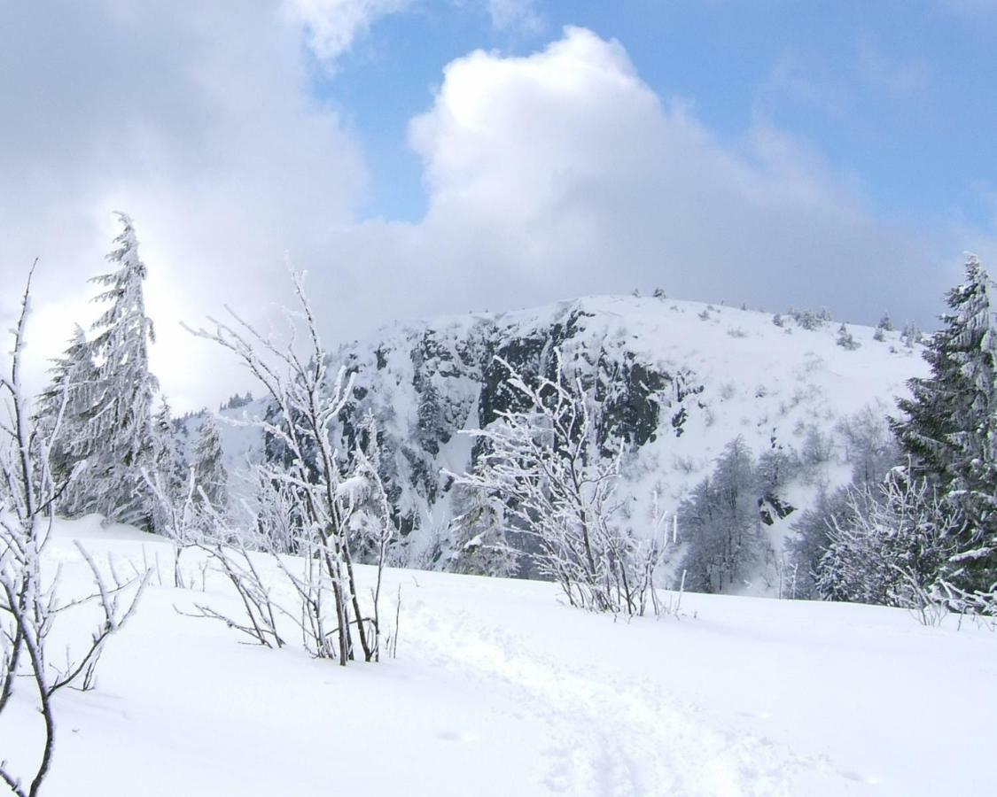 Petit Week End Dans La Vallee Breitenbach-Haut-Rhin Екстериор снимка