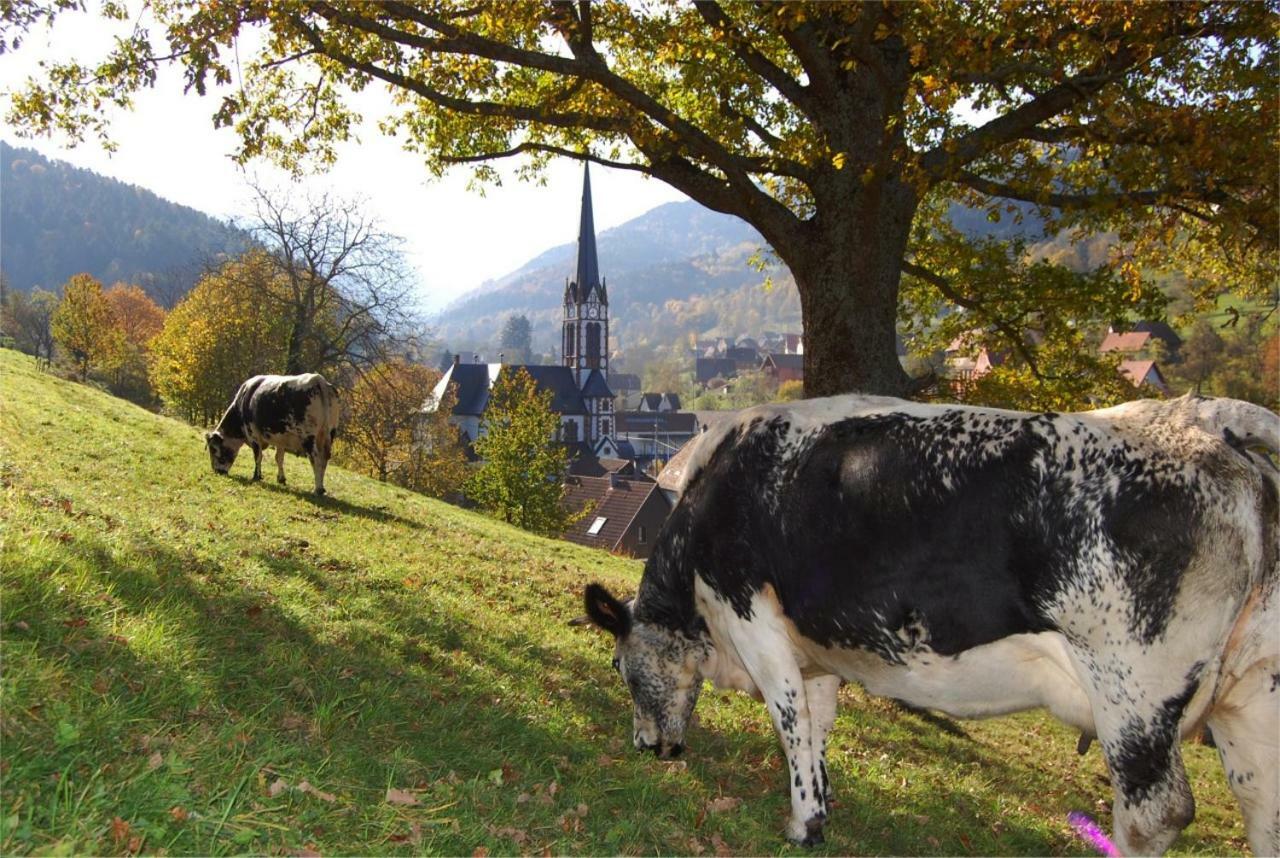 Petit Week End Dans La Vallee Breitenbach-Haut-Rhin Екстериор снимка